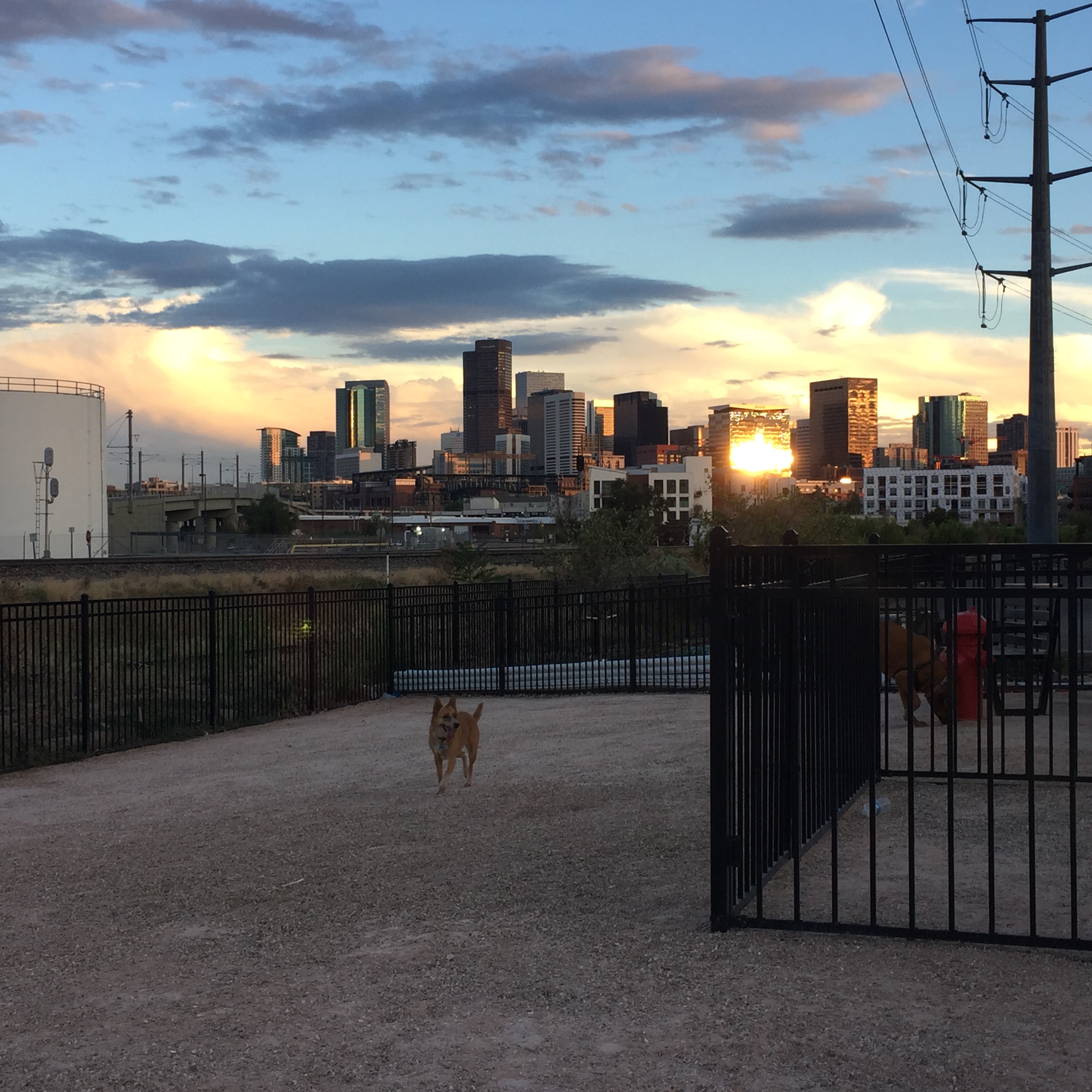 denver