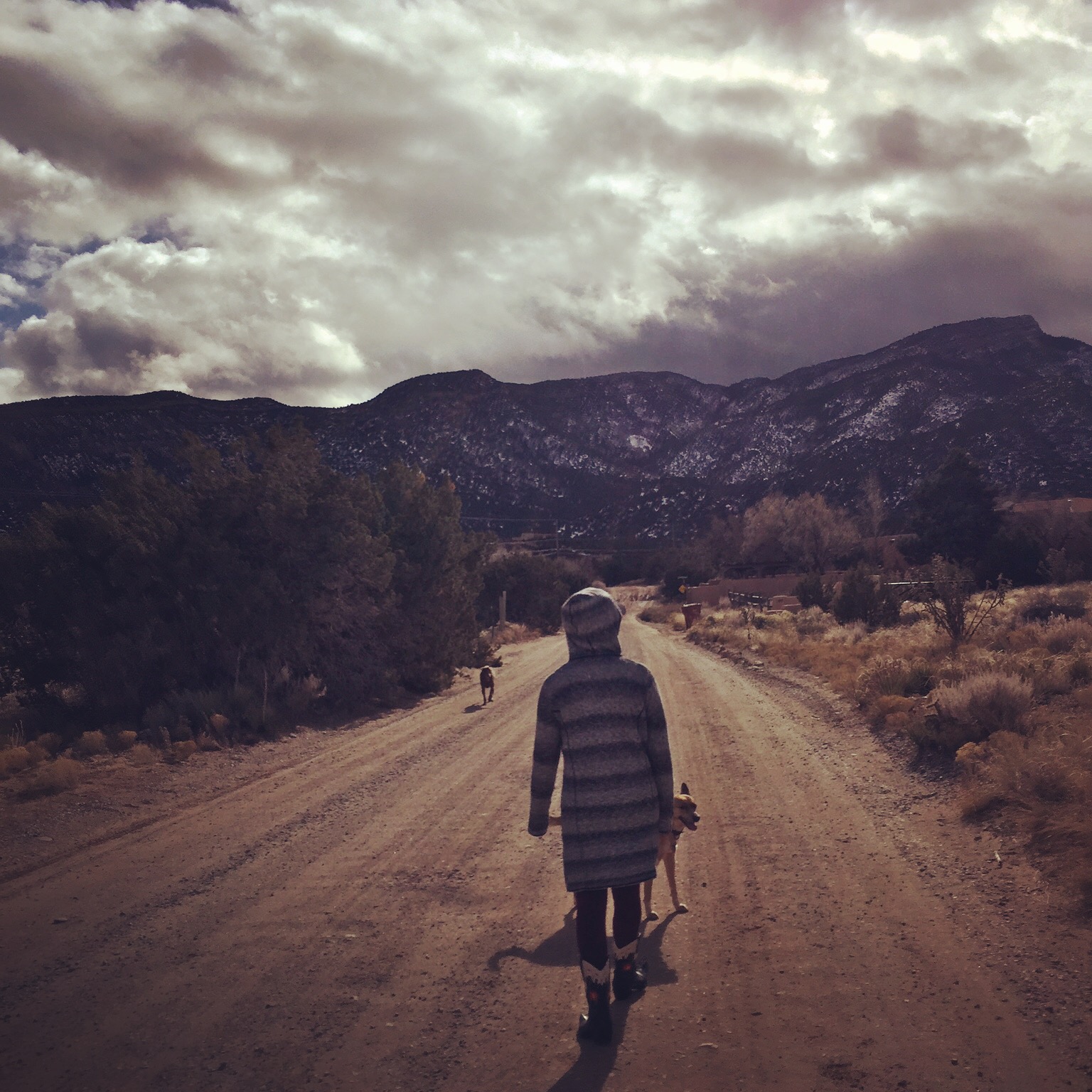 newmexico